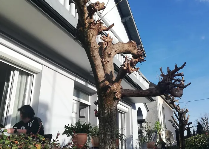 Avec Douche Проживание в семье *